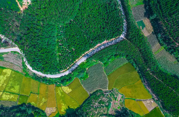 圖片包含 綠色, 蛋糕, 桌子, 游戲機(jī)
描述已自動(dòng)生成